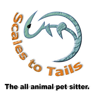 Scales To Tails - Pet sitting and dog walking service